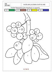 verilen sayıya göre boyama çalışmaları